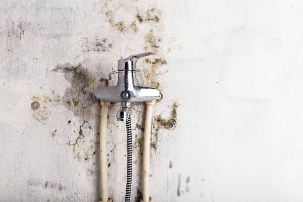 Best Water Damage Restoration  in Lincolnia, VA