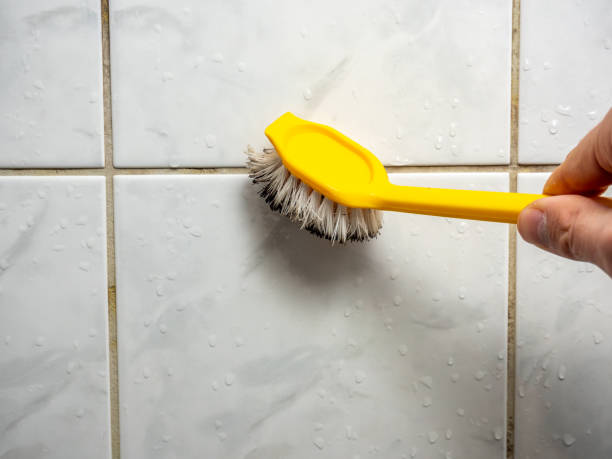 Best Water Damage Restoration  in Lincolnia, VA